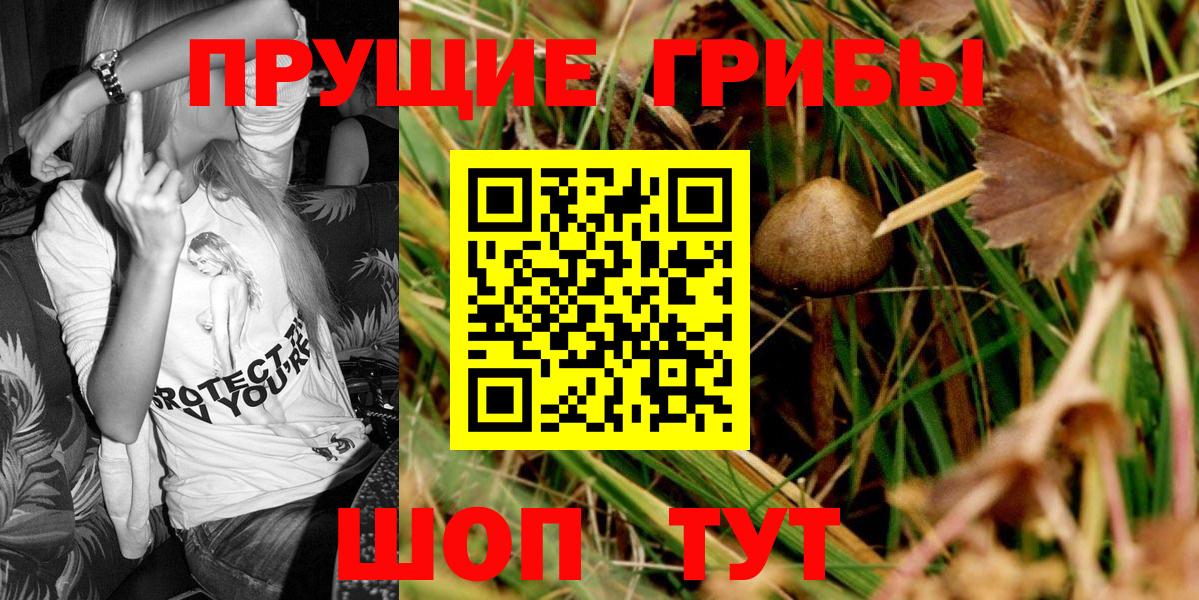 Галлюциногенные грибы Magic Shrooms Донецк